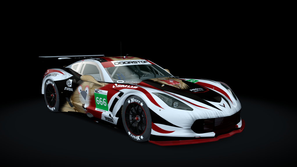 acrl_Chevrolet Corvette C7R, skin ACRL_S18_4_NE_Dirk_P_Ho