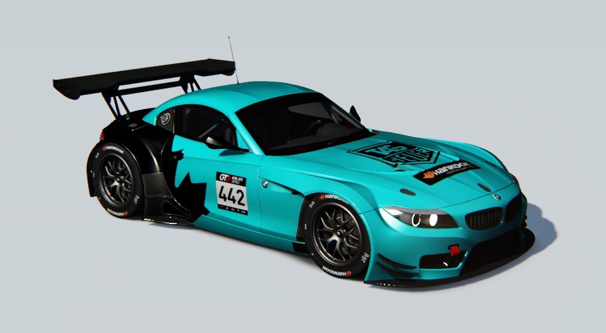 BMW Z4 GT3, skin ACRL_S19_1_FtAttackDuck
