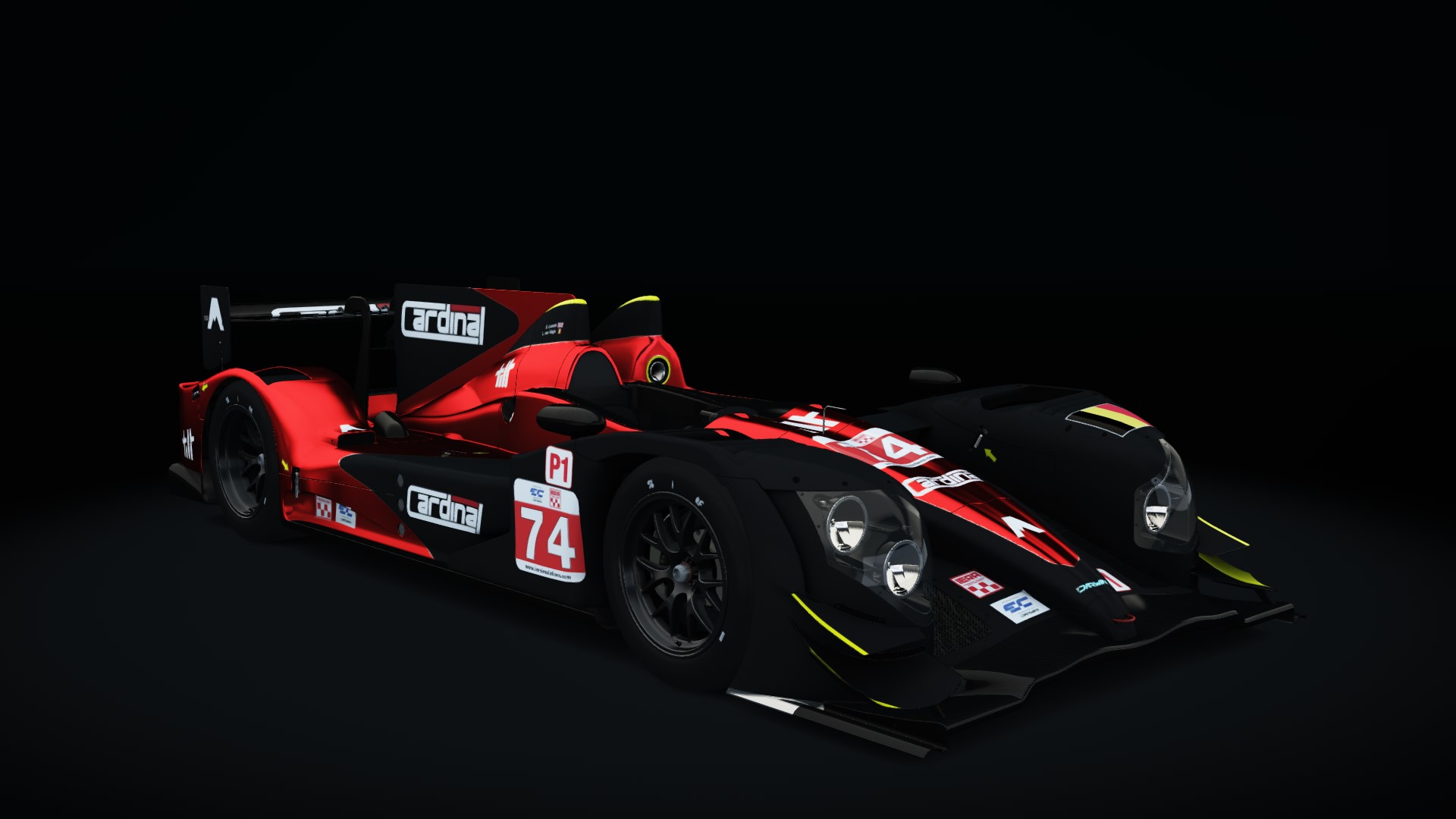 IER P13c, skin 74_cardinal